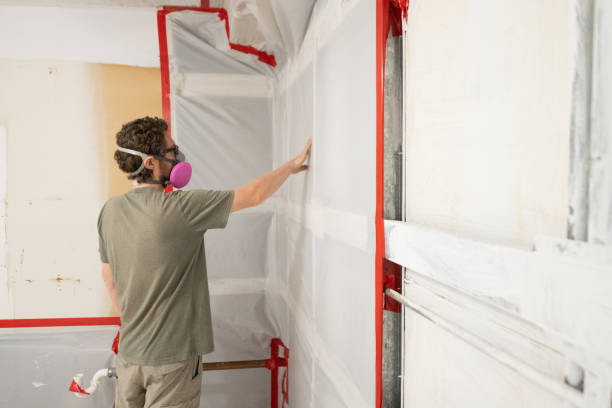 Best Mold-Related Health Consultation  in Rock Port, MO
