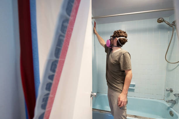 Best Industrial Mold Remediation  in Rock Port, MO